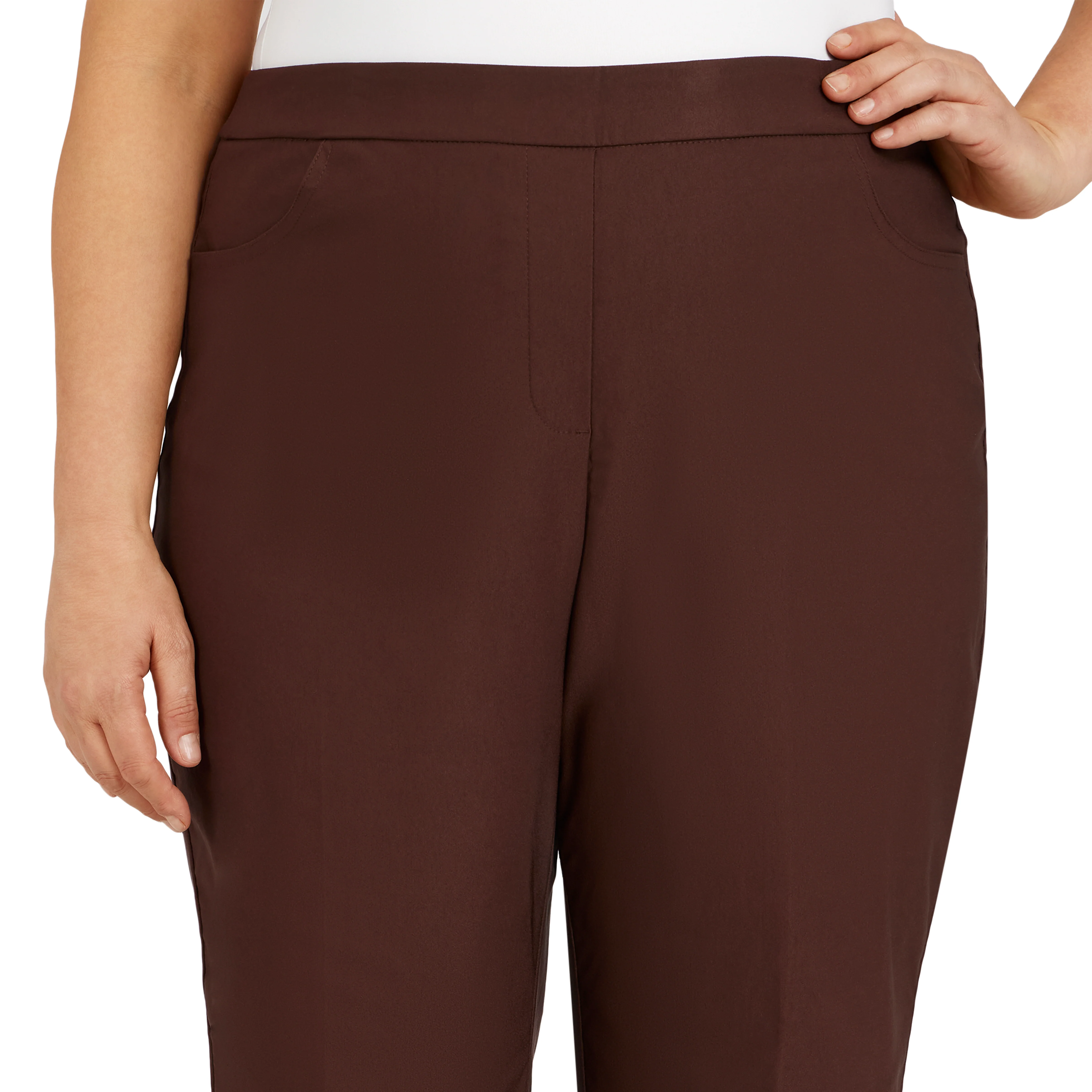 Alfred Dunner Plus Classic Allure Fit Proportioned Pant with Elastic Comfort Waistband Average Length - Image 11